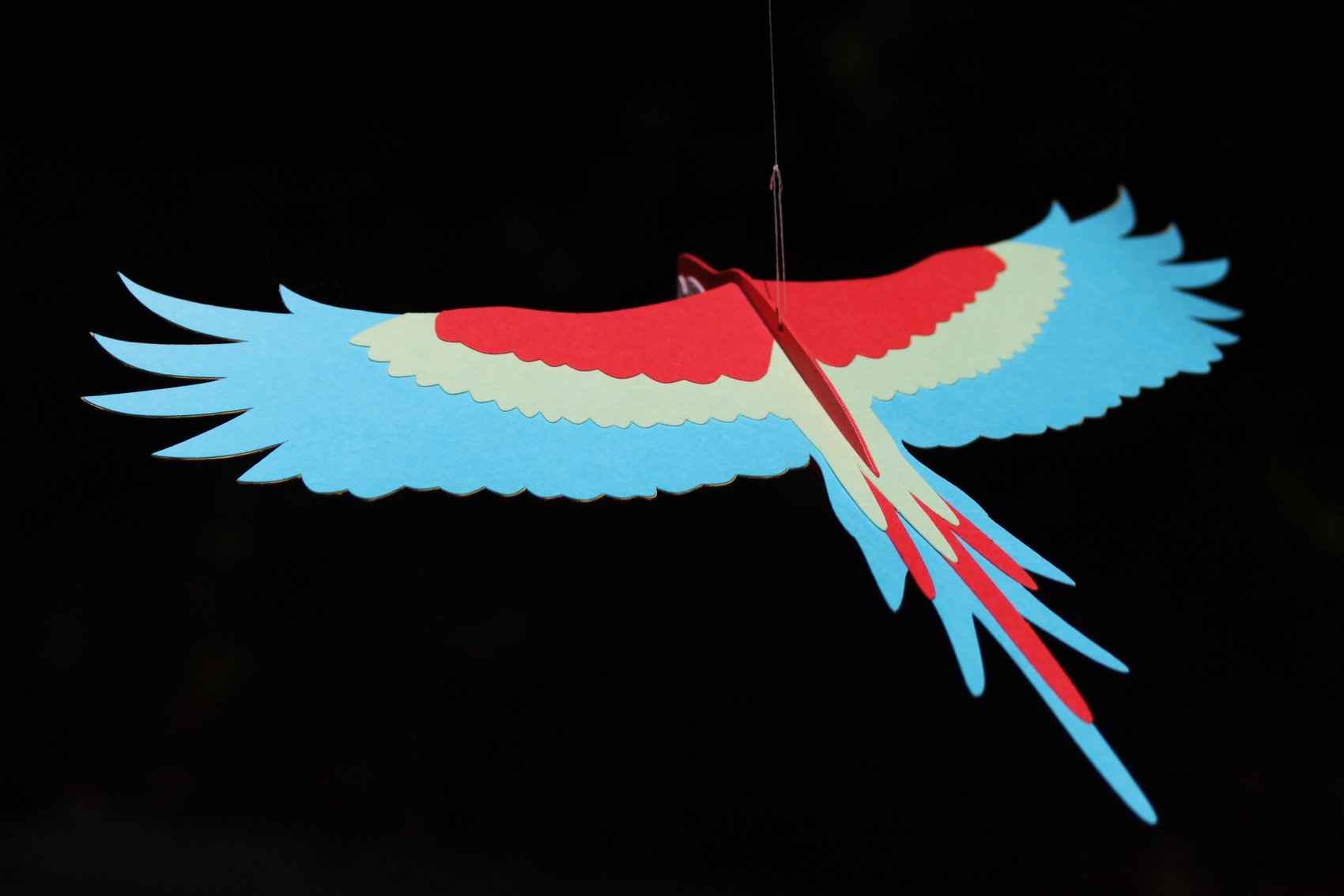 Macaw
