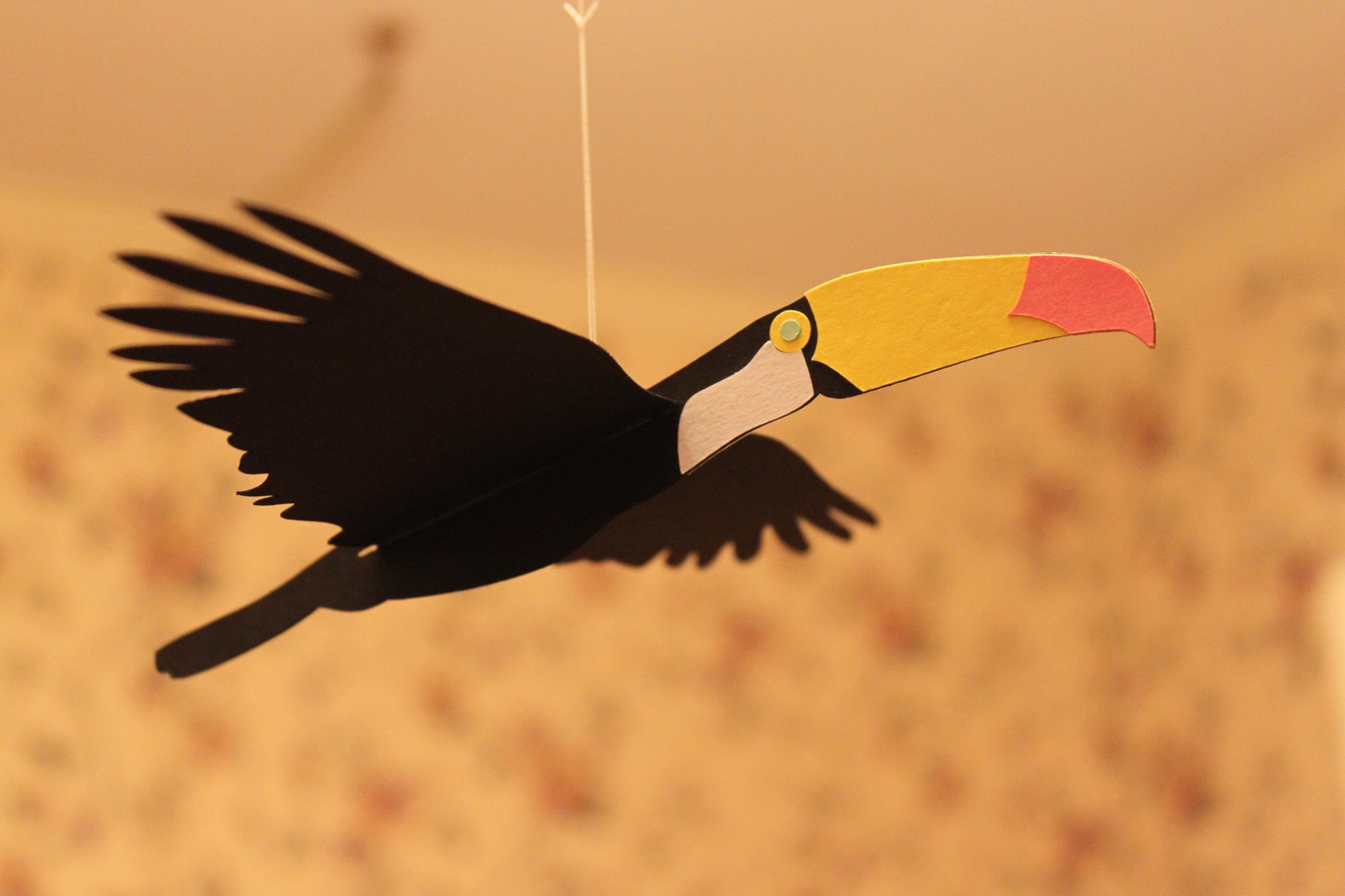 Toucan